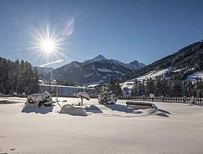 Natur und Spa Resort Alpbacherhof