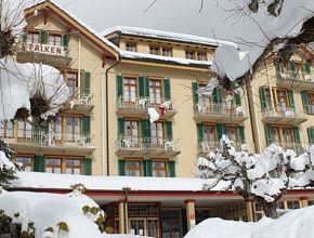 Hotel Falken