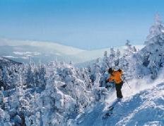 Boston Ski Party
