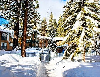 Forest Suites Resort